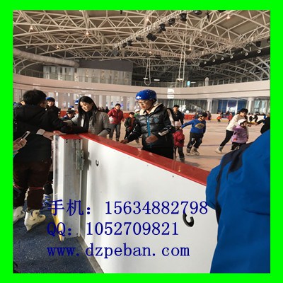 青岛溜冰场围栏/游乐场围栏/溜冰场聚乙烯围栏/宁津华润供